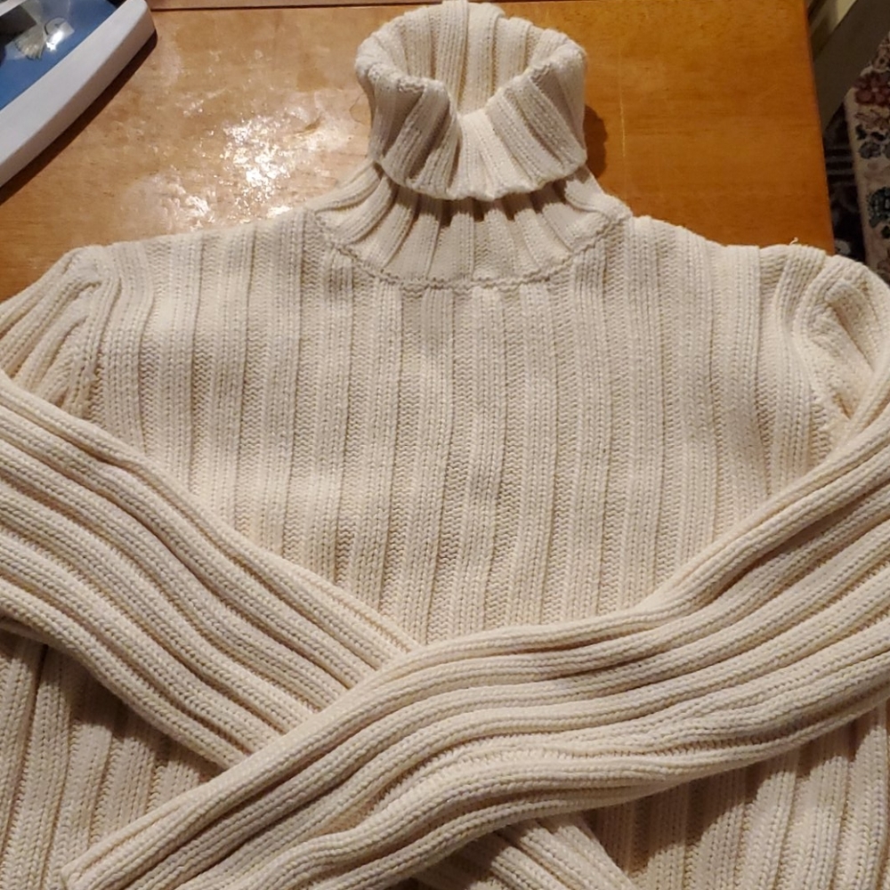 JCrew ribbed turtle neck